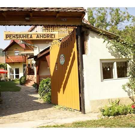 Pensiunea Andrei Сибьел Экстерьер фото