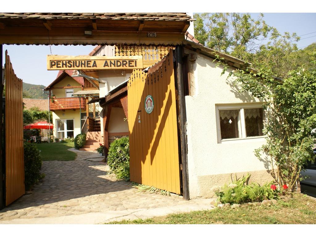Pensiunea Andrei Сибьел Экстерьер фото
